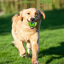 Load image into Gallery viewer, Sniff n Play™ - Dog Giggle Ball
